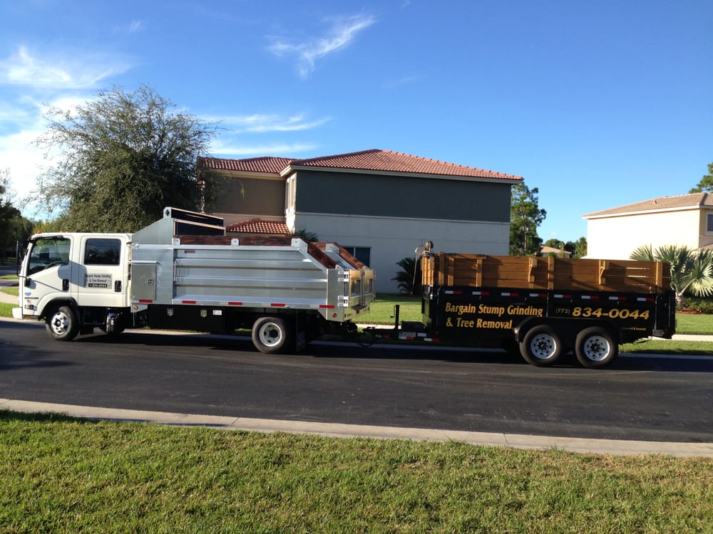 Tree removal denham springs la, Hampton GA