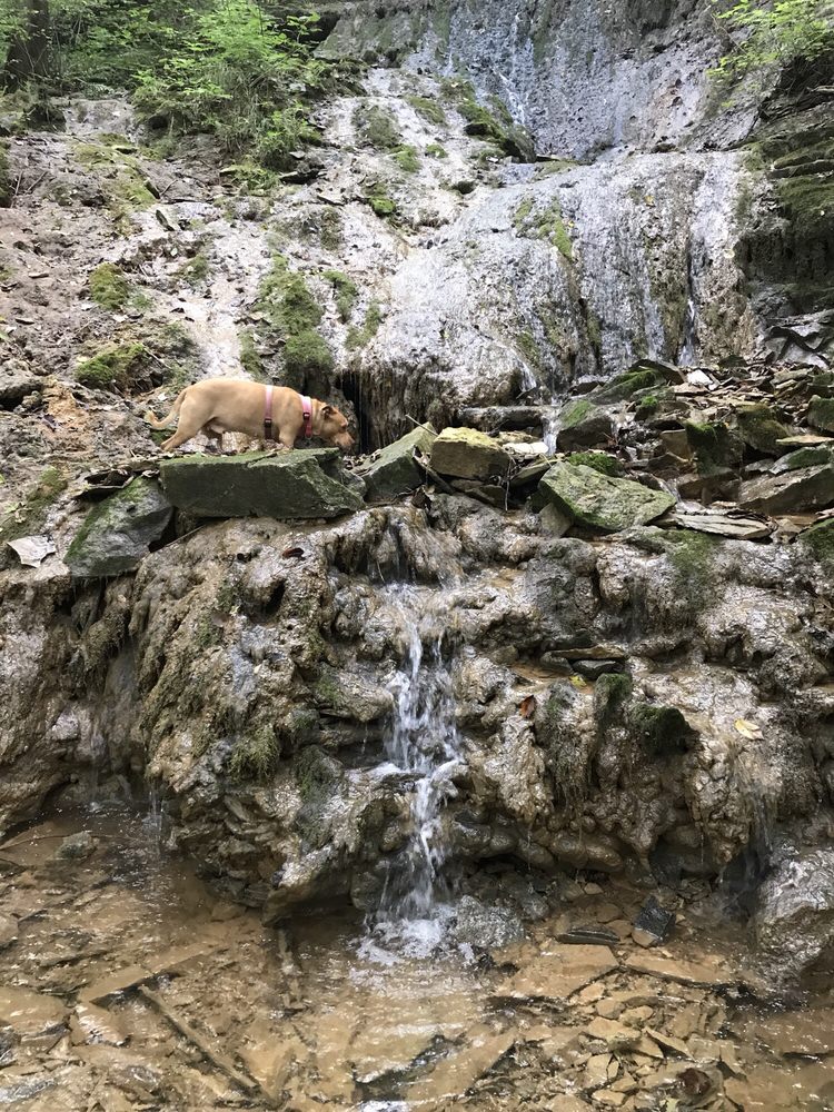 Buttermilk Falls Hiking 737 High St, Brandenburg, KY Last Updated