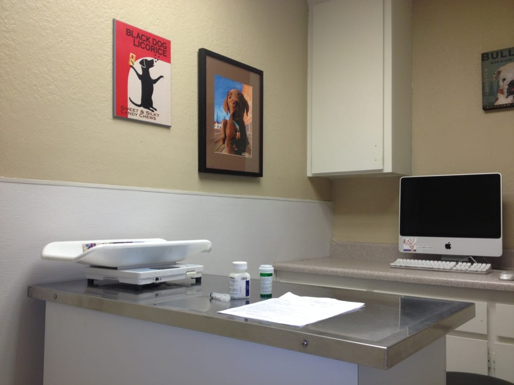 Shadowridge Veterinary Hospital San Marcos 17 Reviews Veterinarians 1155 Grand Ave, San