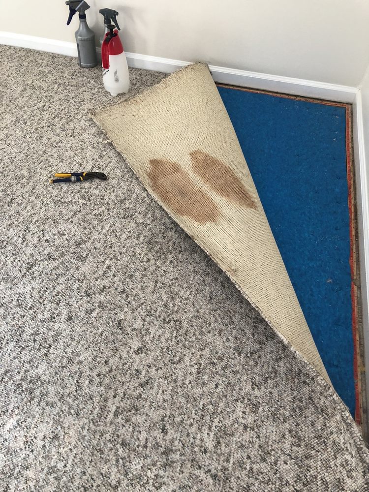 Steamy Stuart's Carpet Cleaning
