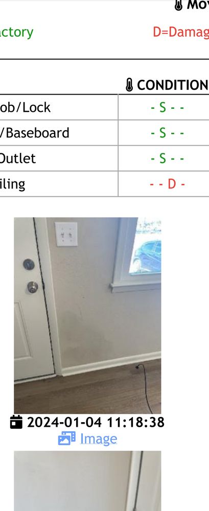 Nest Managers Real Estate