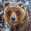 image of business Hibernation Heating