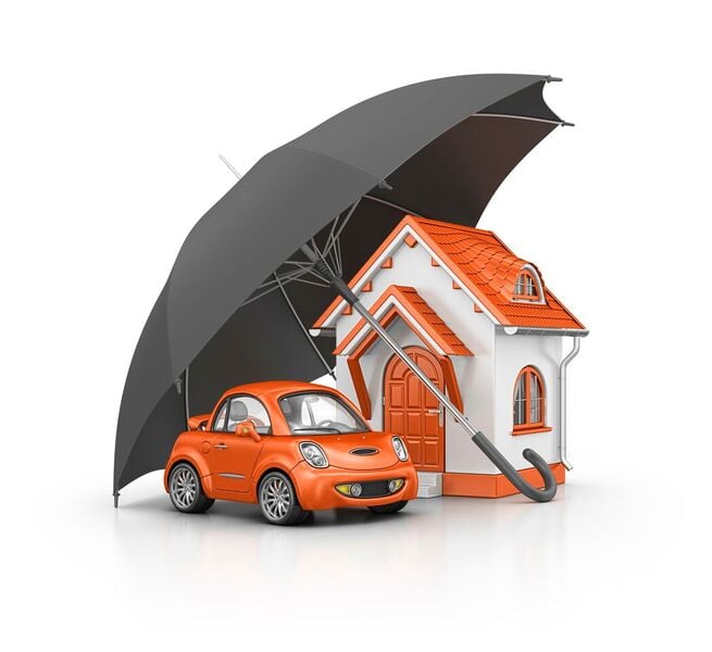Anakarina Callejas - GreatFlorida Insurance
