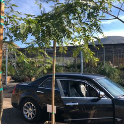Evergreen Nursery 31 Photos 29 Reviews Nurseries Gardening Photo Of Evergreen Nursery El Cajon Ca United States Grows Fast