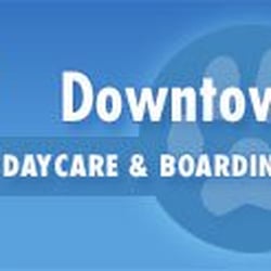downtown dogs minneapolis downtown dogs 47 avis garde d animaux 821 2nd ave n near minneapolis downtown dogs minneapolis downtown dogs 47 avis garde d animaux 821 2nd ave n near minneapolis