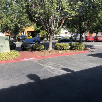 photo of wyndham garden san jose airport san jose ca united states - Wyndham Garden San Jose Airport photo of wyndham garden san jose airport san jose ca united states - Wyndham Garden San Jose Airport