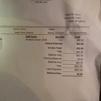 my yorkie has diarrhea and vomiting las vegas animal emergency hospital 13 photos 44 reviews vets 5231 w my yorkie has diarrhea and vomiting las vegas animal emergency hospital 13 photos 44 reviews vets 5231 w