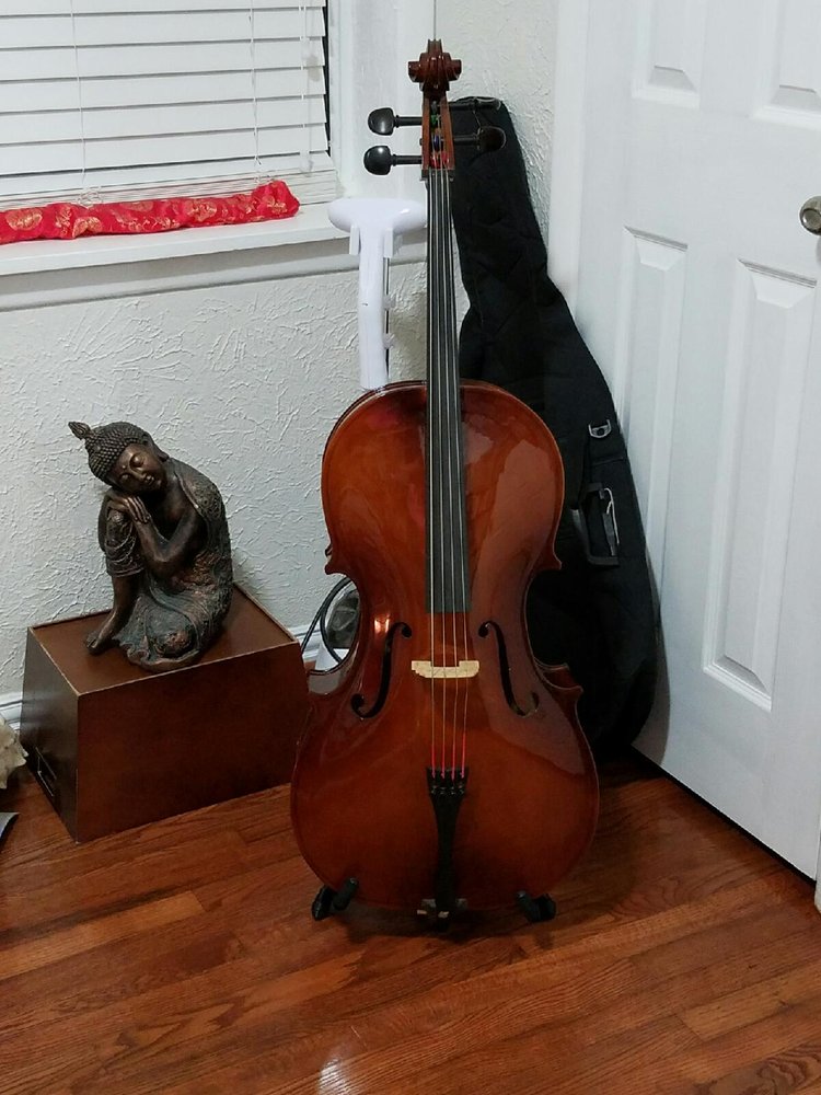 Purple Heart Pawn & Gun 15 Photos Pawn Shops 4041 Mccart Ave, Southside, Fort Worth, TX