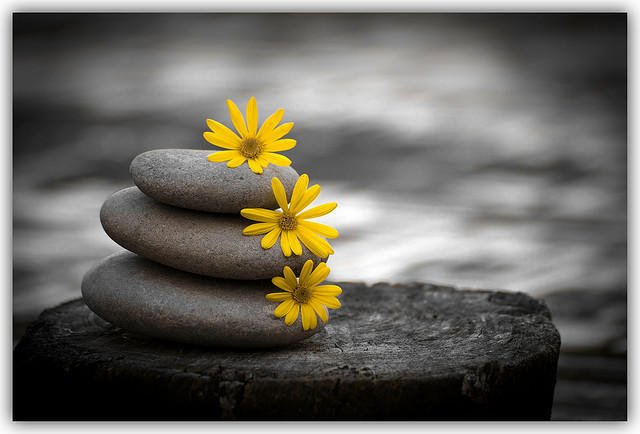 Heart Centered Therapeutics