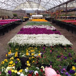 Condurso S Garden Center Farm Market 13 Reviews Nurseries Photo Of Condurso S Garden Center Farm Market Montville Nj United States