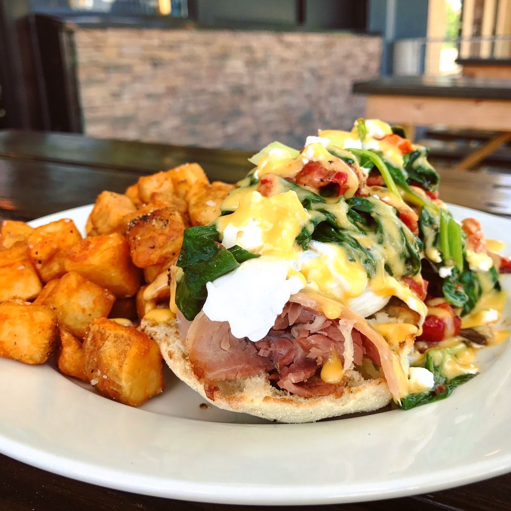 Hair of the Dog Eatery 292 Photos & 249 Reviews American (New