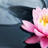 Gail Dasher Therapeutic Massage gift card