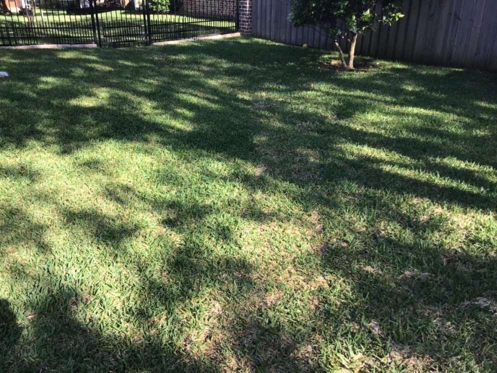 Petty's Irrigation, Landscape and Pest Control
