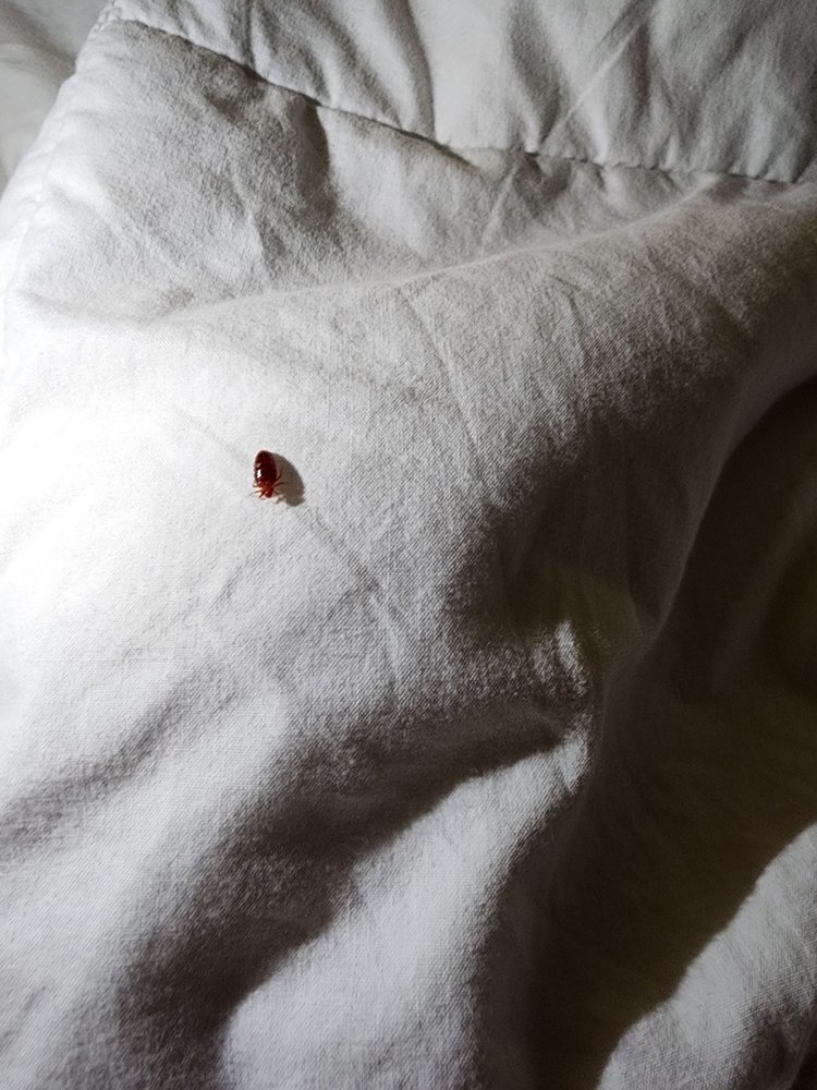 Red Lion Hotel Kelso Longview