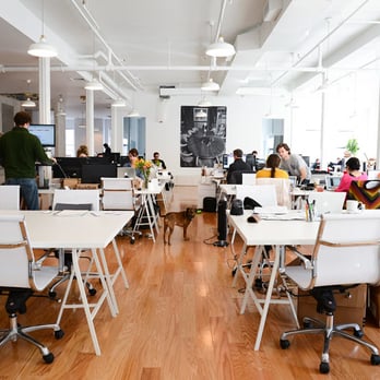 q office