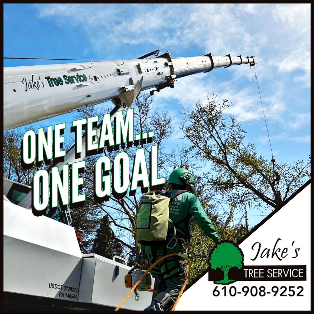 Jake's Tree Service
