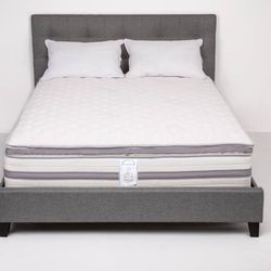 Global Resources Registry Mattresses 3440 N Miami Ave Midtown Photo Of Global Resources Registry Miami Fl United States Elite Mattress