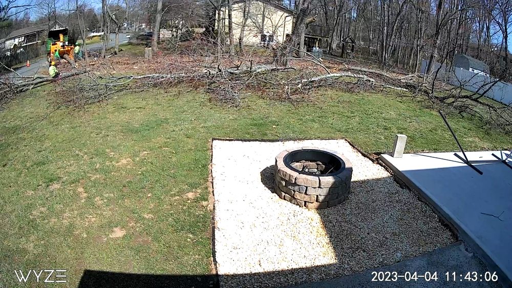All Cuts Tree Service