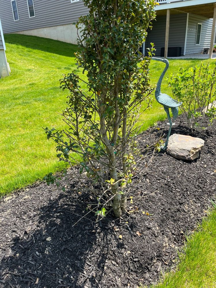 Fairfield Landscaping