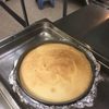 Latino Cuisine
