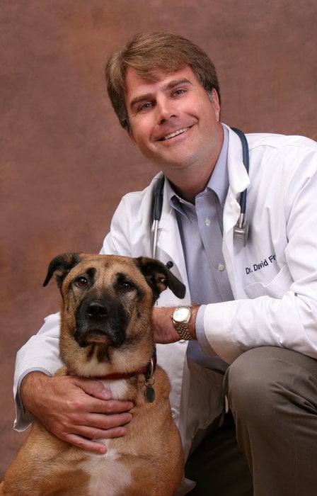 jersey animal hospital