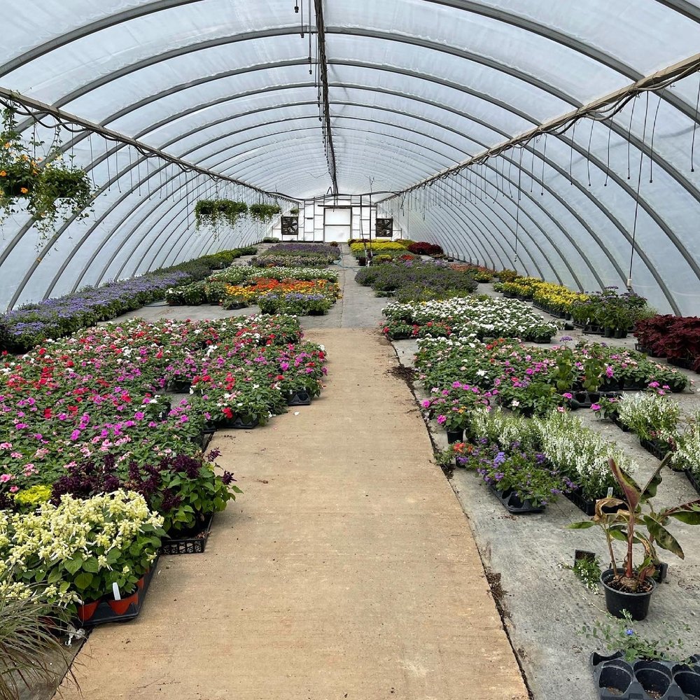 McAllister Greenhouses