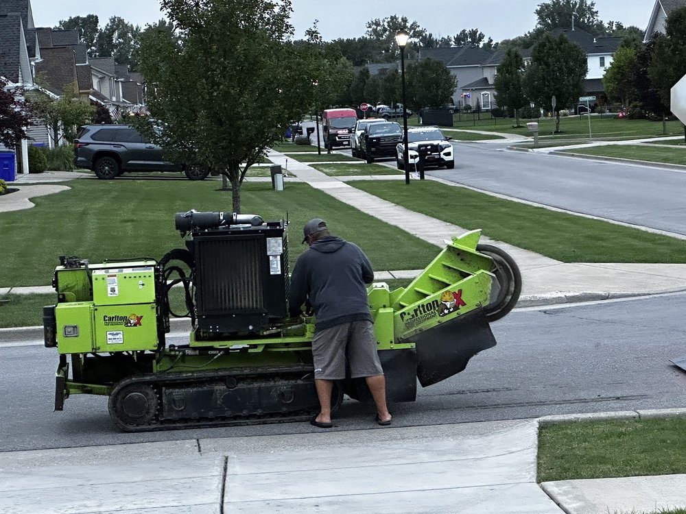 Half Price Stump Grinding