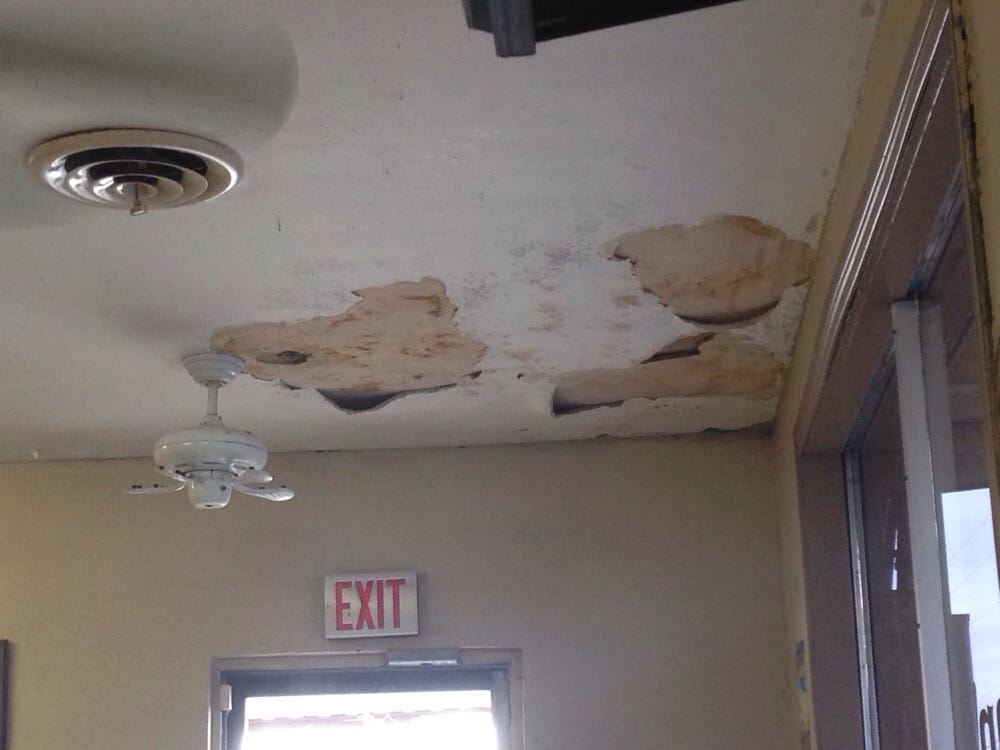 Disgusting And Nauseating Deteriorating Ceiling Plus Fan Photo Of Cristan S Tacos San Antonio Tx United States Disgusting And Nauseating