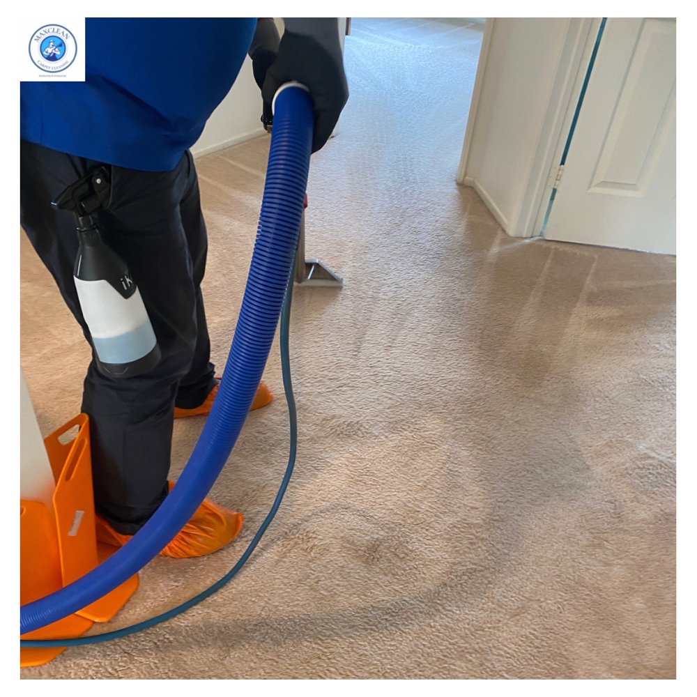 Maxclean Carpet Cleaning