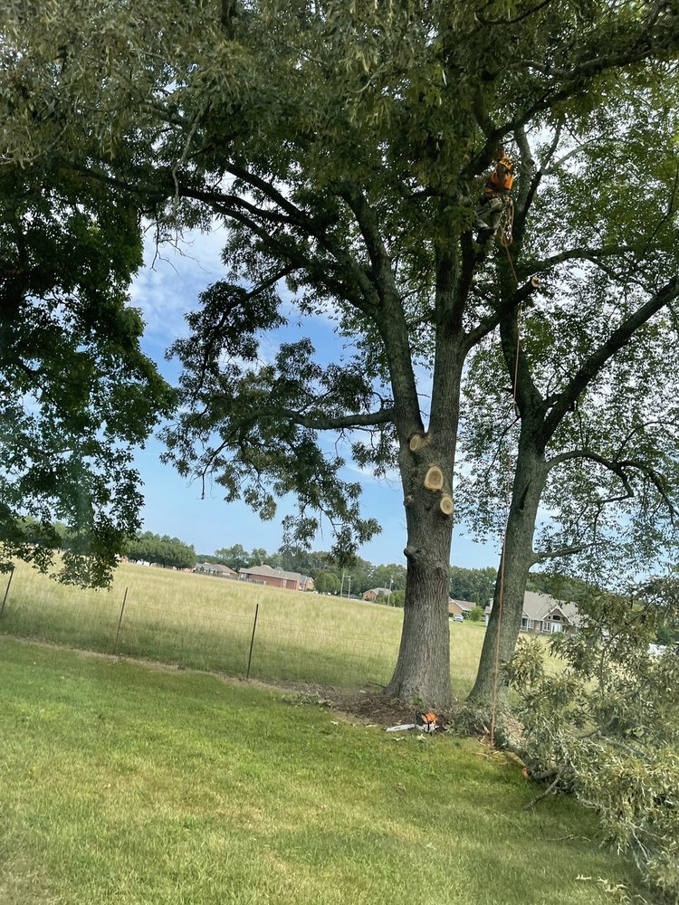 Valley Tree Service