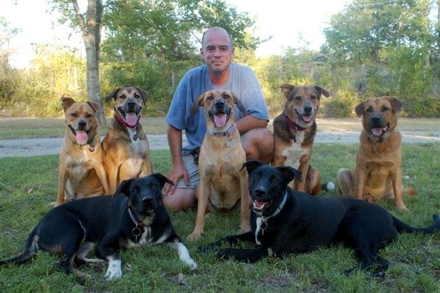 boarding prices near me doug the walker 14 reviews pet boarding pet sitting 5021 e riverside d boarding prices near me doug the walker 14 reviews pet boarding pet sitting 5021 e riverside d