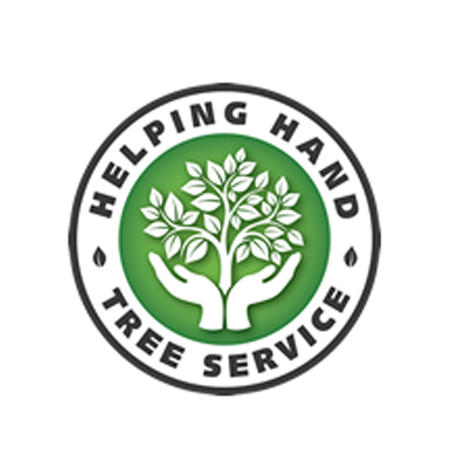 Helping Hand Tree Service Tree Services 72 E 2nd Ave, Longmont, CO