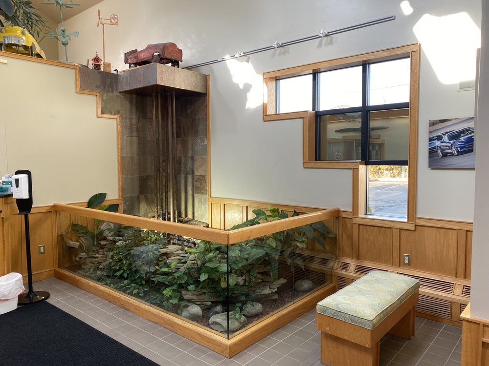 image of business Mark S Glovis, DDS