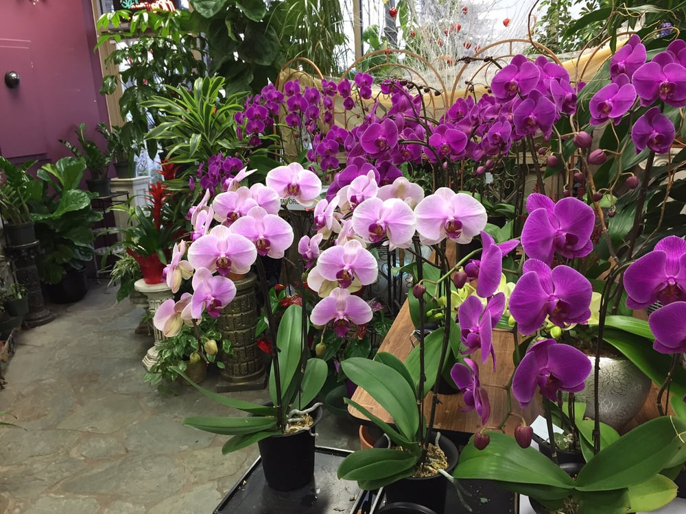 Pacific Florists