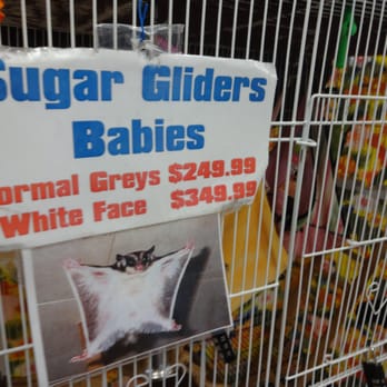 Pet Kingdom USA - 177 Photos & 115 Reviews - Pet Stores - 2431 E