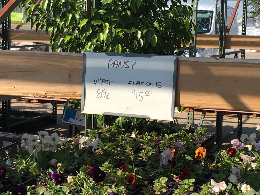 Premier Nursery