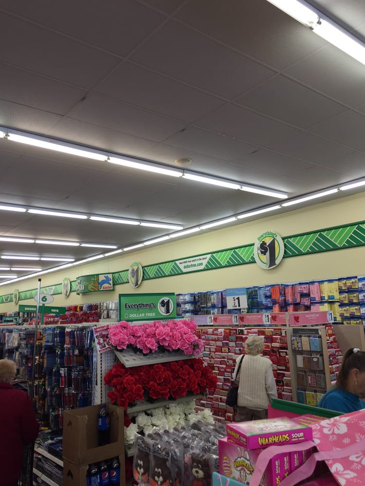 Dollar Tree Stores Discount Store 3701 49th St N, Tyrone, Saint