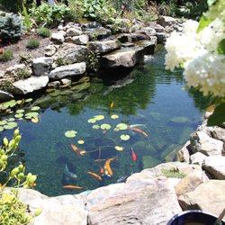 Plumline Nursery Temp Closed 22 Photos Nurseries Gardening Photo Of Plumline Nursery Murrysville Pa United States Bring The Kids To