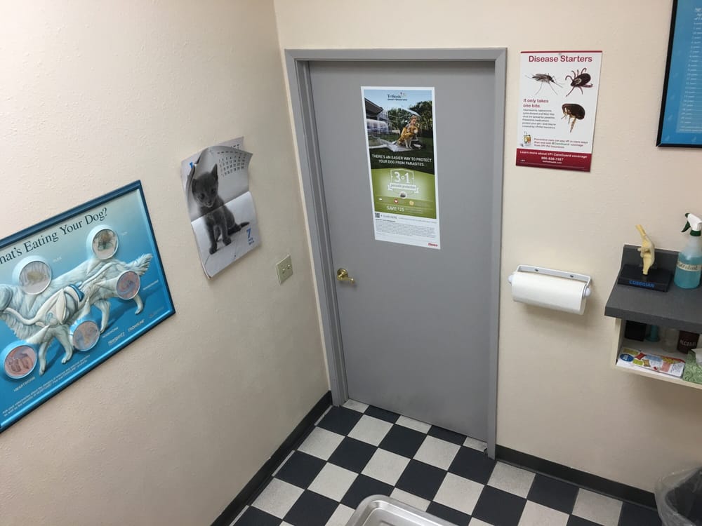 Anaheim Canyon Animal Hospital 12 Photos & 26 Reviews Veterinarians