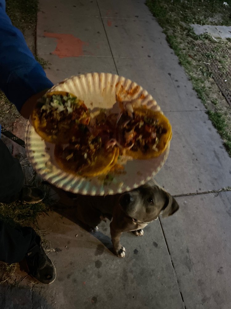 Nestor's Tacos