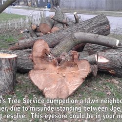 Joe S Tree Service Services 400 E Wayland St Springfield Photo Of Joe S Tree Service Springfield Mo United States See Full Story