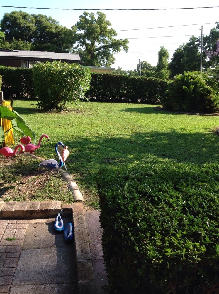 Chad's Lawn Service
