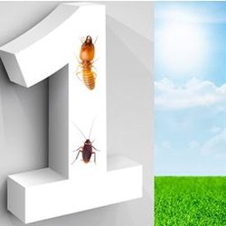 florida pest control st augustine all in one termite and pest control in st augustine yelp florida pest control st augustine all in one termite and pest control in st augustine yelp