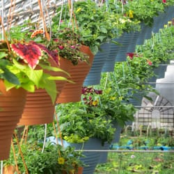 The Garden Barn Nursery & Landscape - Nurseries & Gardening - 228 W St