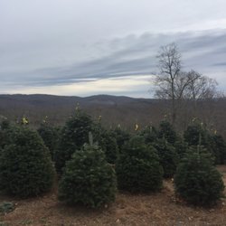 photo of evergreen ridge christmas tree farm newland nc united states - Christmas Tree Farm Asheville Nc photo of evergreen ridge christmas tree farm newland nc united states - Christmas Tree Farm Asheville Nc