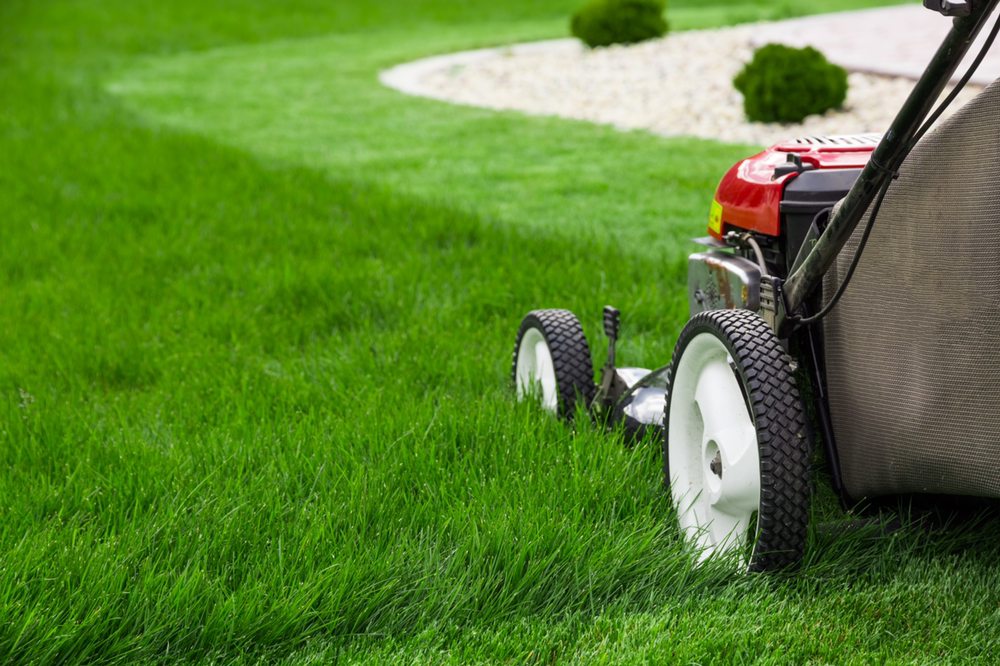 GrassZilla