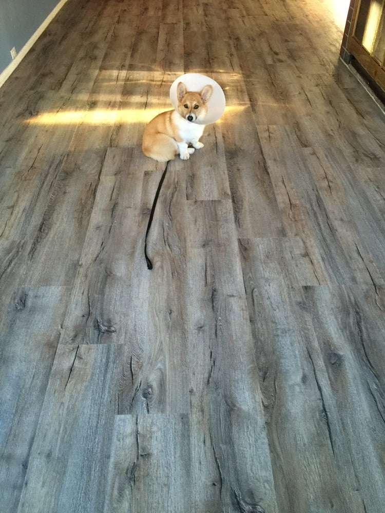Highland Hickory 24932 By Moduleo Luxury Vinyl Tile Yelp Photo Of Custom Flooring Specialists Arvada Co United States Highland Hickory 24932