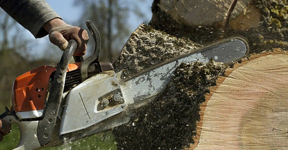 R&S Stump Grinding