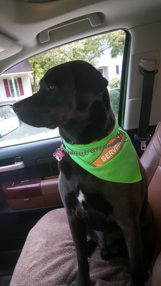 SERVPRO of Lexington/Thomasville