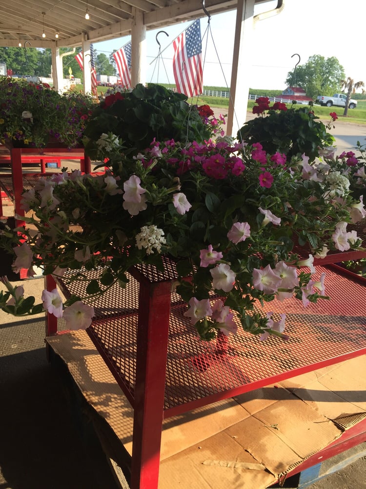 Strawberry Hill USA 21 Photos & 22 Reviews Farmers Market 3097